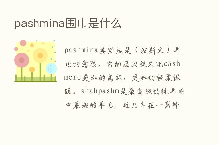 pashmina围巾是什么