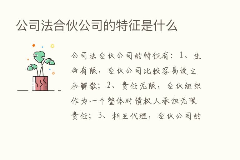 公司法合伙公司的特征是什么