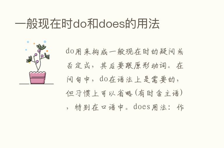 一般现在时do和does的用法