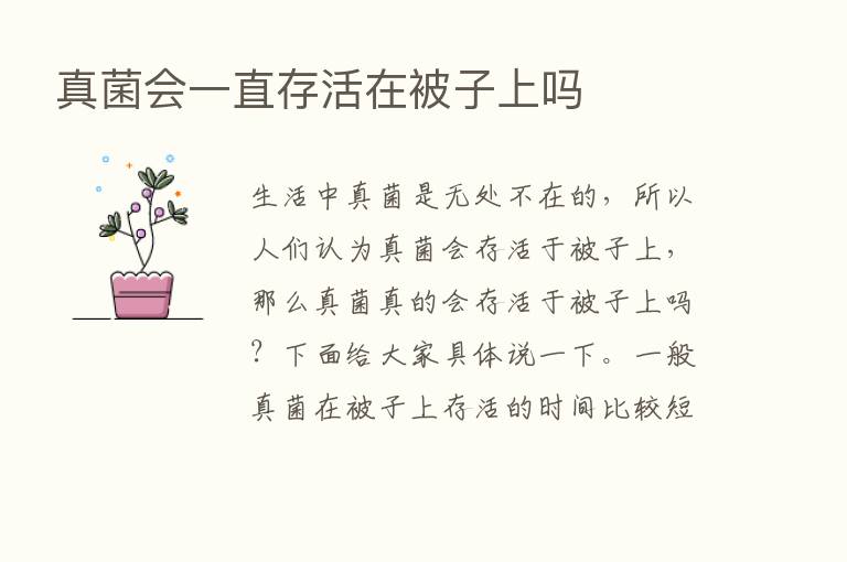 真菌会一直存活在被子上吗