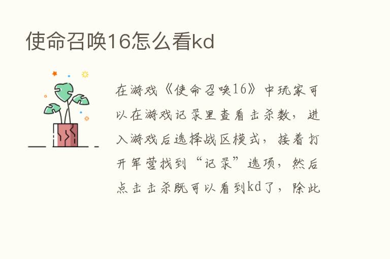 使命召唤16怎么看kd