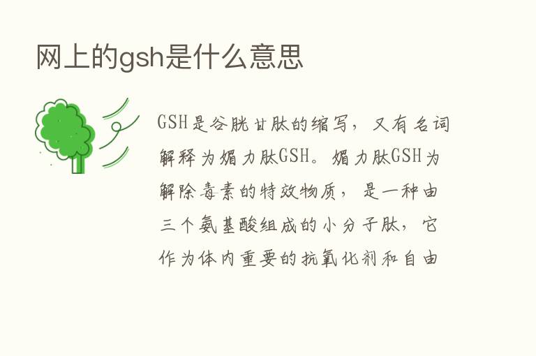 网上的gsh是什么意思