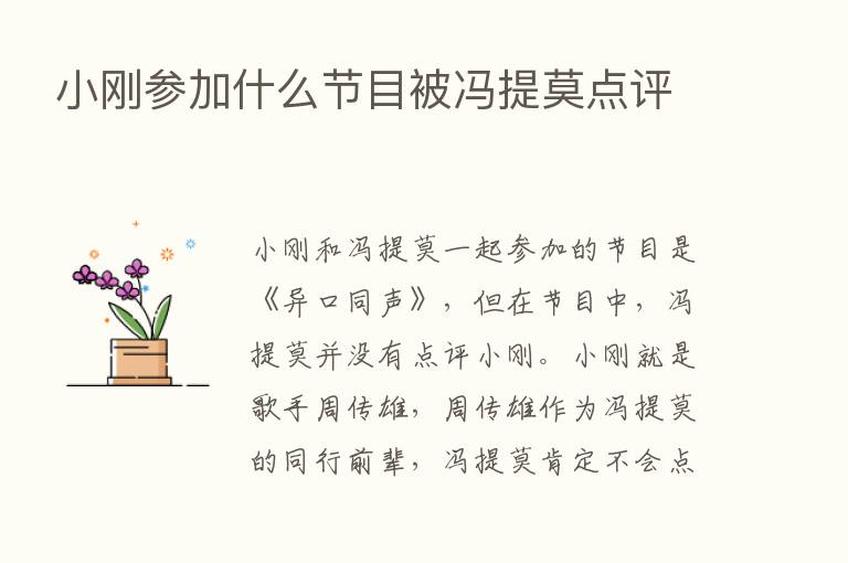 小刚参加什么节目被冯提莫点评