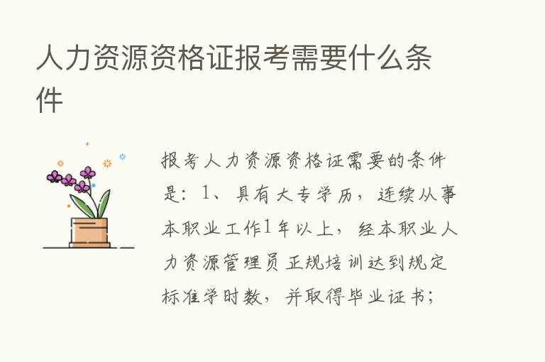 人力资源资格证报考需要什么条件