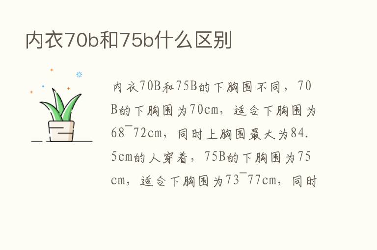 内衣70b和75b什么区别