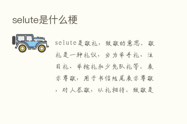 selute是什么梗