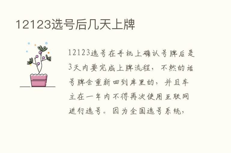 12123选号后几天上牌