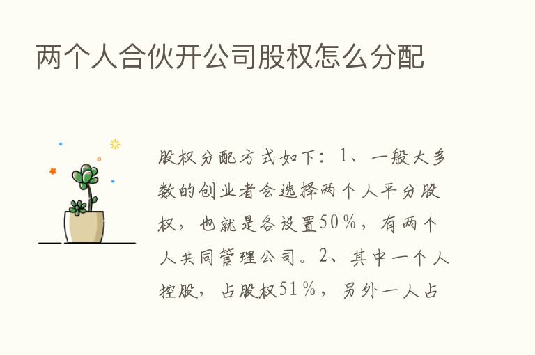 两个人合伙开公司股权怎么分配