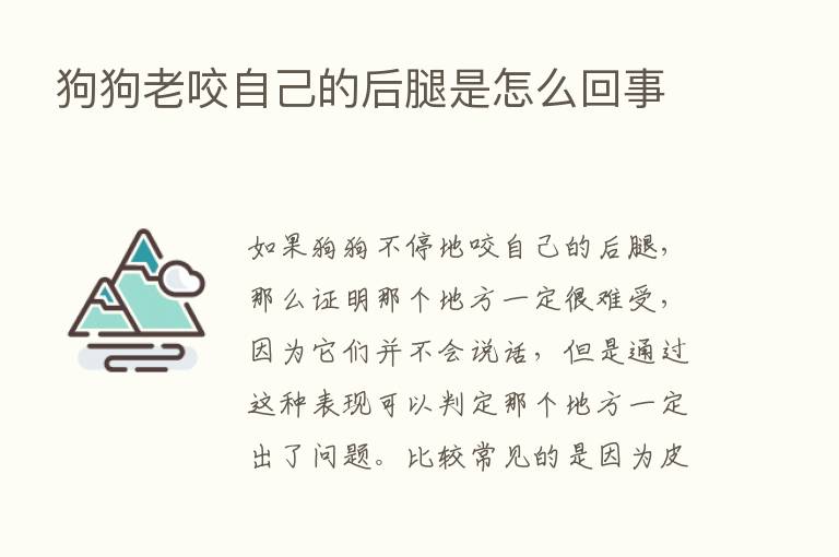 狗狗老咬自己的后腿是怎么回事