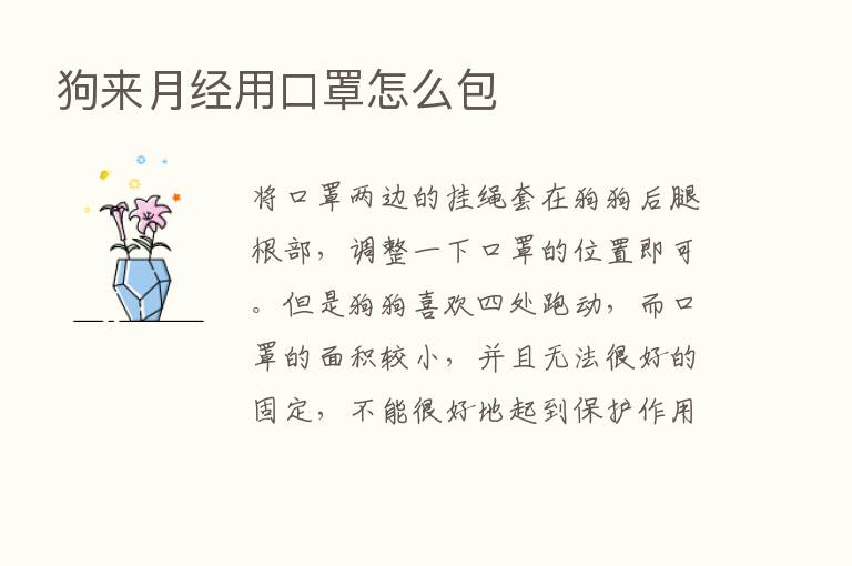 狗来月经用口罩怎么包