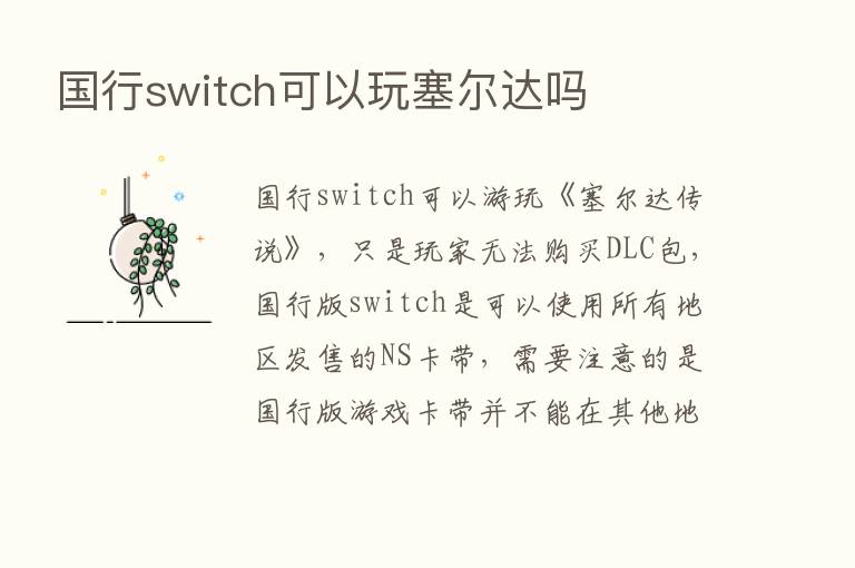 国行switch可以玩塞尔达吗