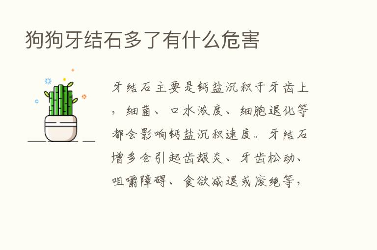 狗狗牙结石多了有什么危害