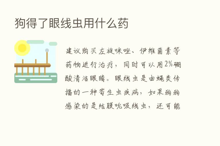 狗得了眼线虫用什么药