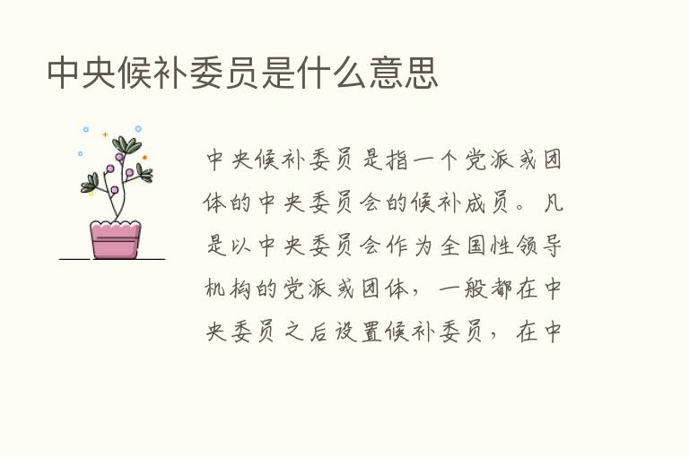 中央候补委员是什么意思