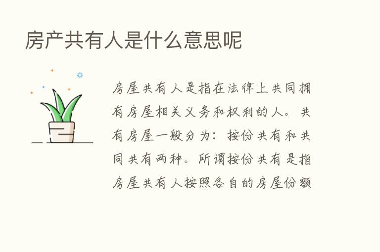 房产共有人是什么意思呢