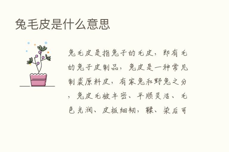 兔毛皮是什么意思