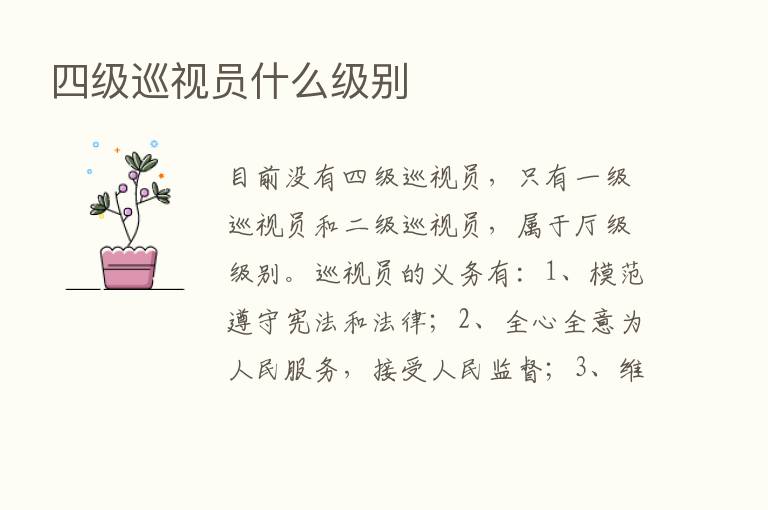 四级巡视员什么级别