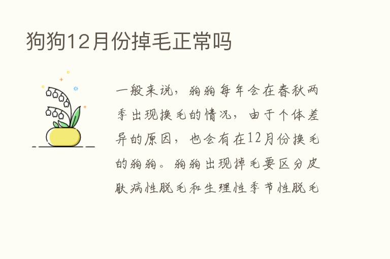 狗狗12月份掉毛正常吗