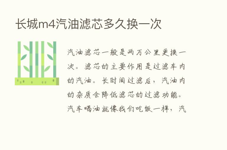 长城m4汽油滤芯多久换一次