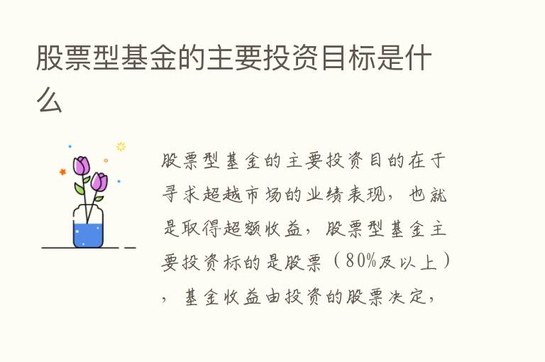 股票型基金的主要投资目标是什么