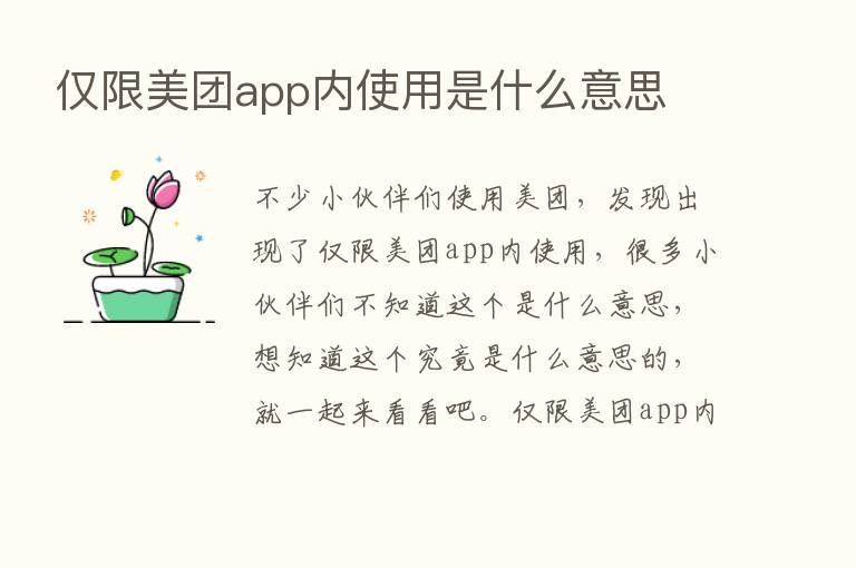 仅限美团app内使用是什么意思