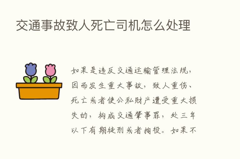 交通事故致人死亡司机怎么处理