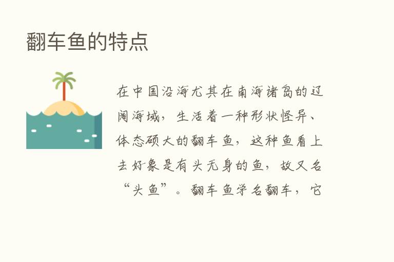 翻车鱼的特点