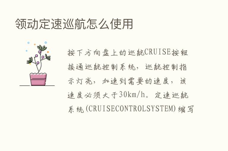 领动定速巡航怎么使用