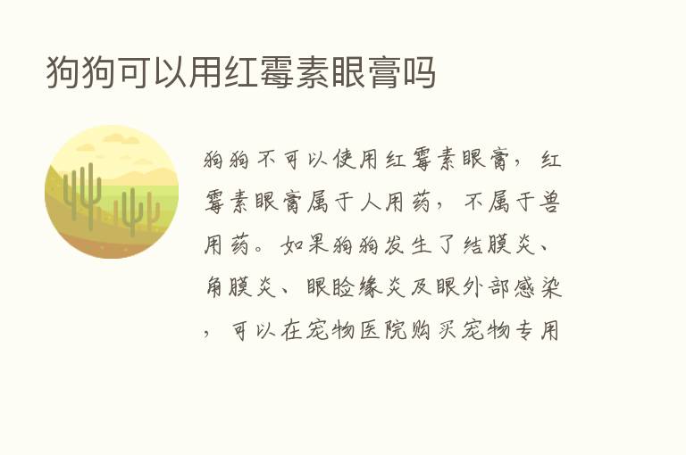 狗狗可以用红霉素眼膏吗