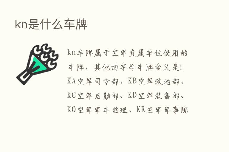 kn是什么车牌