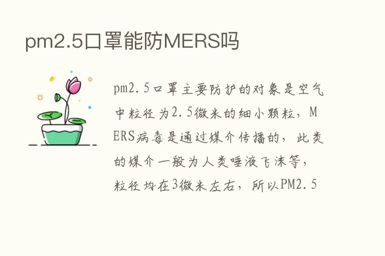 pm2.5口罩能防MERS吗