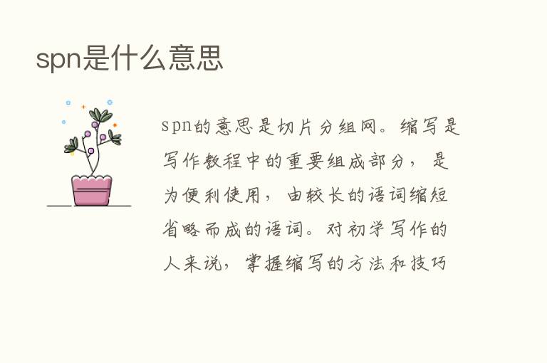 spn是什么意思