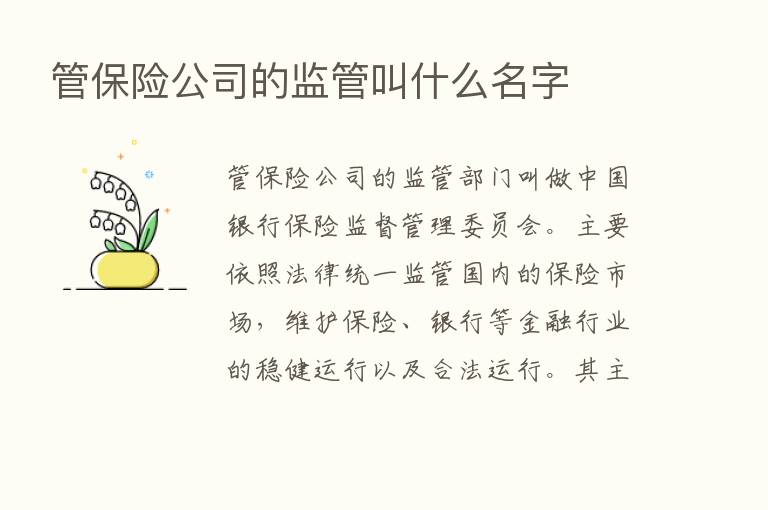 管      公司的监管叫什么名字