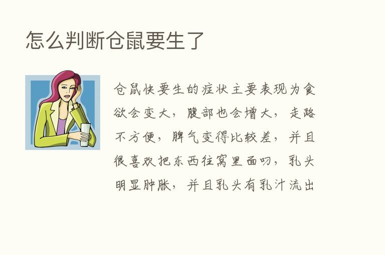 怎么判断仓鼠要生了