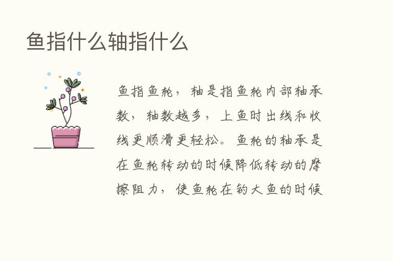 鱼指什么轴指什么