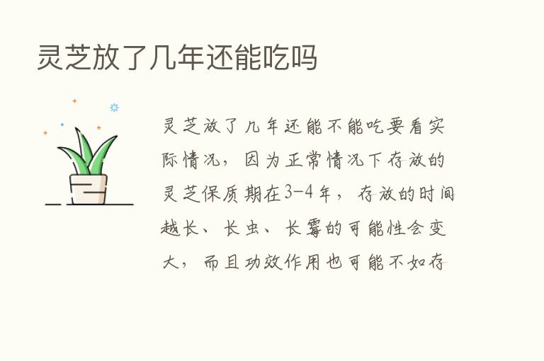 灵芝放了几年还能吃吗