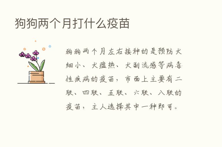 狗狗两个月打什么疫苗