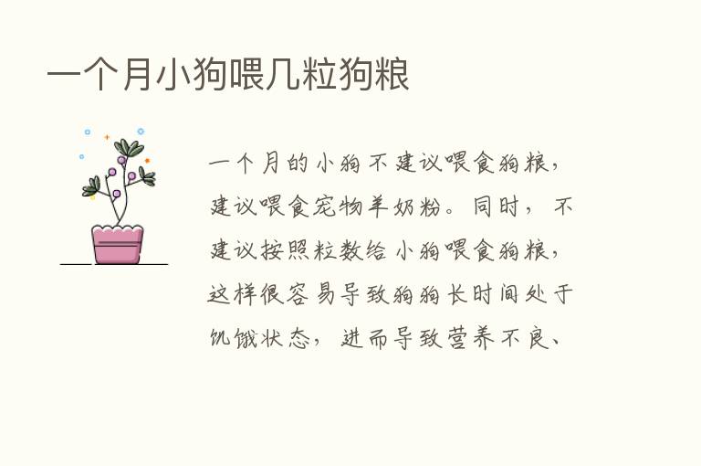 一个月小狗喂几粒狗粮