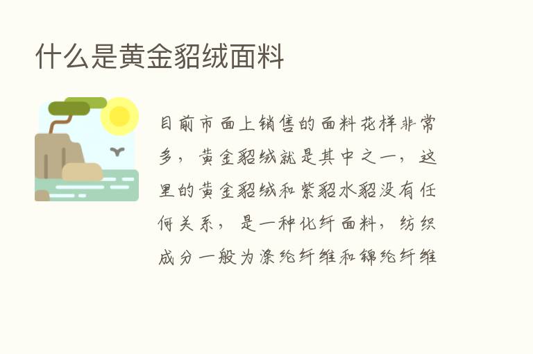 什么是黄金貂绒面料