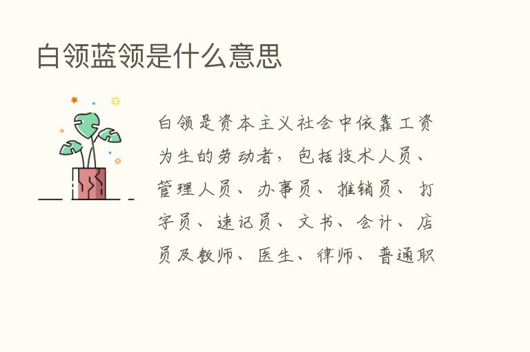 白领蓝领是什么意思