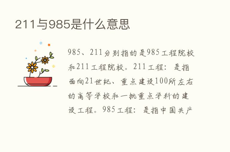 211与985是什么意思