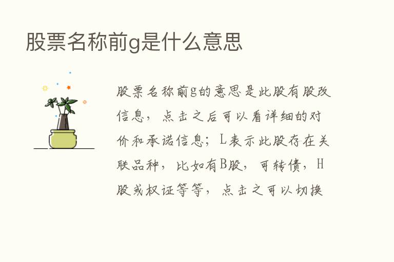 股票名称前g是什么意思