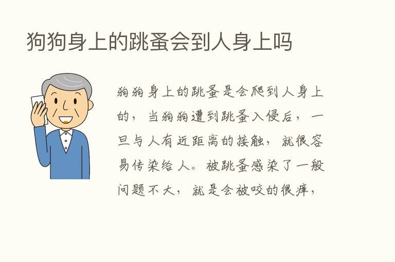 狗狗身上的跳蚤会到人身上吗