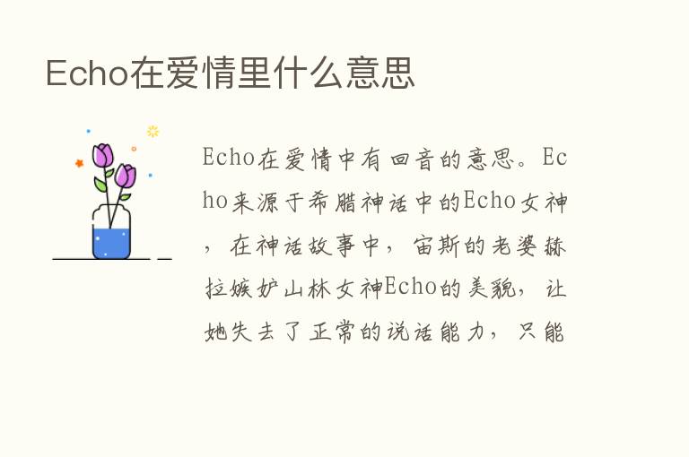 Echo在爱情里什么意思