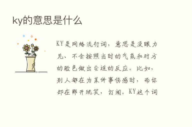 ky的意思是什么