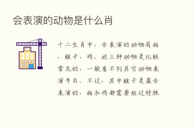 会表演的动物是什么肖