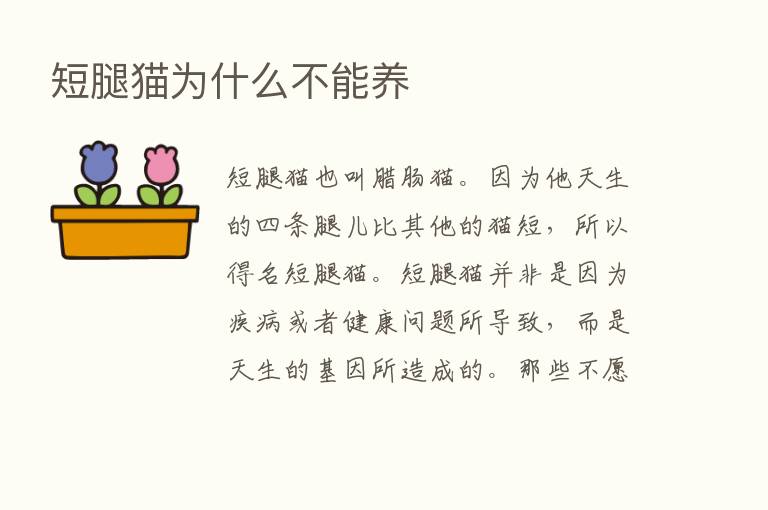 短腿猫为什么不能养