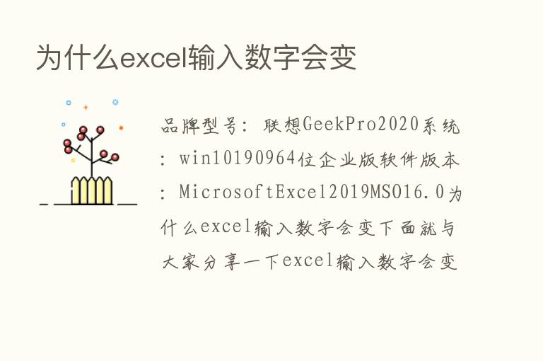 为什么excel输入数字会变