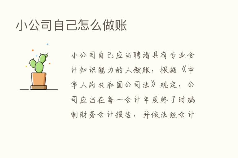 小公司自己怎么做账