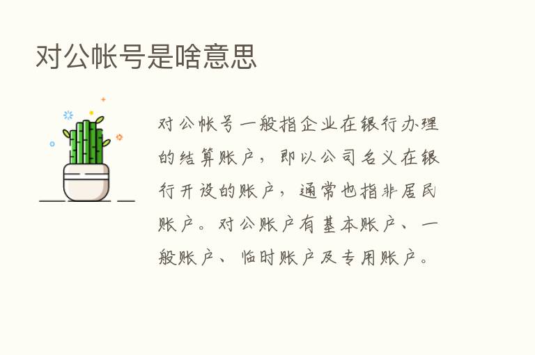 对公帐号是啥意思